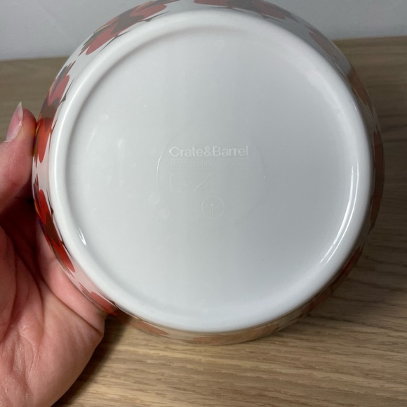 Crate and Barrel Thanksgiving Turkeys Melamine 6" x 2 1/4" Bowl Fall Decor - 2 - Picture 5 of 9